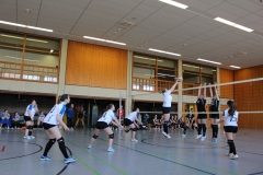 170325_Volleyball_IMG_4169