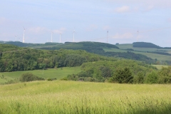 170525_Götzwanderung_IMG_9751