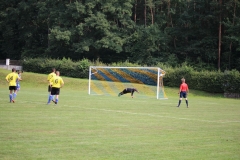 170827_Enkenbach_IMG_6595