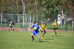 1709017_Waldleiningen_IMG_6871