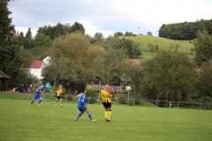 1709017_Waldleiningen_IMG_6951