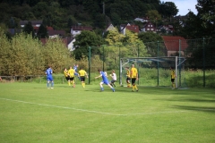1709017_Waldleiningen_IMG_6956