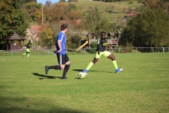 1701015_VfL_IMG_8306