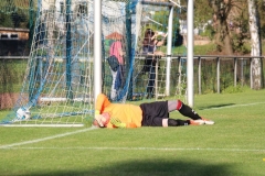 1701015_VfL_IMG_8367
