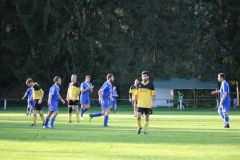 171101_Ginsweiler-Res_IMG_8629