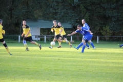 171101_Ginsweiler-Res_IMG_8665