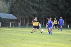 171101_Ginsweiler-Res_IMG_8667