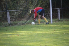 171101_Ginsweiler-Res_IMG_8676
