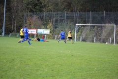 171101_Ginsweiler-Res_IMG_8707