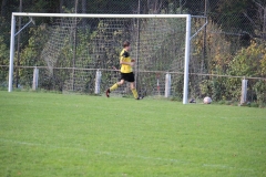 171101_Ginsweiler-Res_IMG_8709
