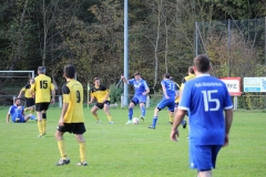 171101_Ginsweiler-Res_IMG_8712