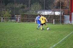 171101_Ginsweiler-Res_IMG_8716