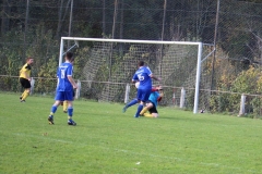 171101_Ginsweiler-Res_IMG_8719