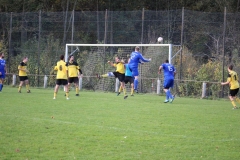 171101_Ginsweiler-Res_IMG_8730