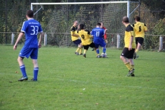 171101_Ginsweiler-Res_IMG_8734