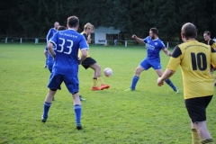 171101_Ginsweiler-Res_IMG_8737