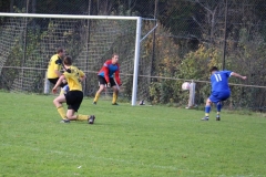 171101_Ginsweiler-Res_IMG_8740