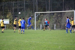 171101_Ginsweiler-Res_IMG_8757