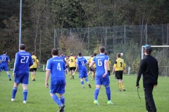 171101_Ginsweiler-Res_IMG_8773