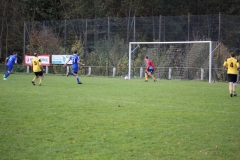 171101_Ginsweiler-Res_IMG_8775