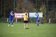 171101_Ginsweiler-Res_IMG_8777