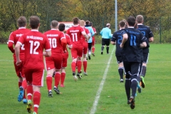 171105_Mölschbach_IMG_8791