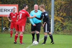 171105_Mölschbach_IMG_8795