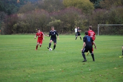 171105_Mölschbach_IMG_8840