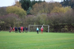 171105_Mölschbach_IMG_8844
