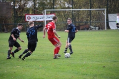 171105_Mölschbach_IMG_8884