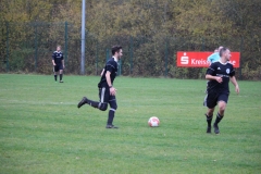 171105_Mölschbach_IMG_8931