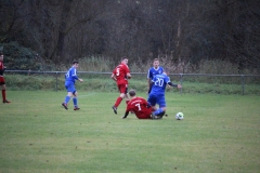 171126_Wiesenthalerhof_IMG_9308