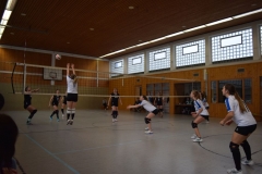 180127_Volleyball_DSC_0035