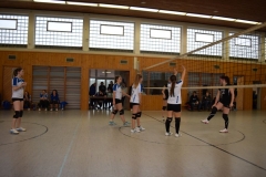 180127_Volleyball_DSC_0116
