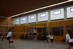 180127_Volleyball_DSC_0226
