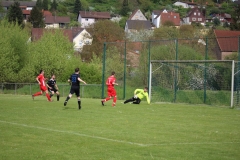 180429_Rehweiler_IMG_0352