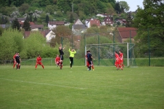 180429_Rehweiler_IMG_0367