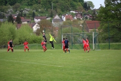 180429_Rehweiler_IMG_0368