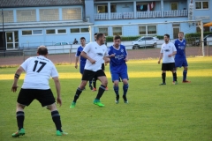 180509_Erlenbach_IMG_0443