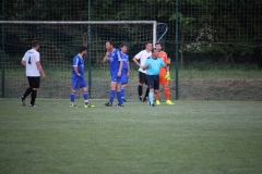 180509_Erlenbach_IMG_0487