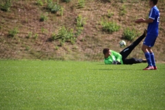 180817_Neuhemsbach_IMG_0982