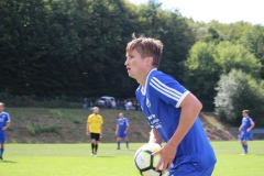 180817_Neuhemsbach_IMG_1004