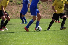 180817_Neuhemsbach_IMG_1058