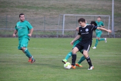 180907_Heiligenmoschel_IMG_1415