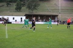 180907_Heiligenmoschel_IMG_1419