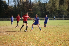 181021_Hütte_IMG_2563