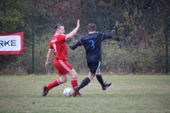 181028_Mölschbach_IMG_2615