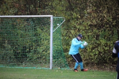 181028_Mölschbach_IMG_2617