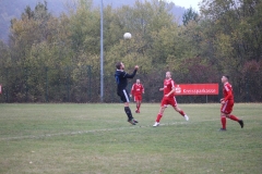 181028_Mölschbach_IMG_2627