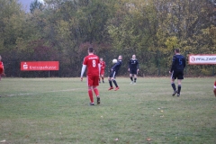 181028_Mölschbach_IMG_2628